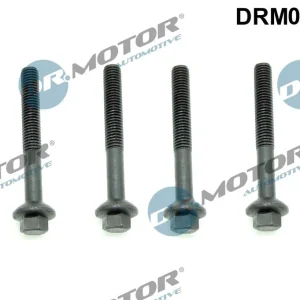 Ruuvi ruiskutussuutinpidike Dr.Motor Automotive DRM01404S - Renault Megane Captur Kadjar Laguna Scénic, Dacia Duster Sandero Logan Dokker Lodgy | Säästä lisää