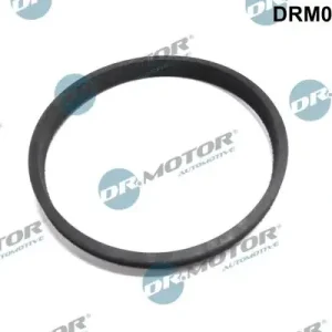 Hyödynnä tarjous - Tiiviste, kaasuläpän liitin Dr.Motor Automotive DRM0134 - Renault Clio Megane Laguna Scénic Modus
