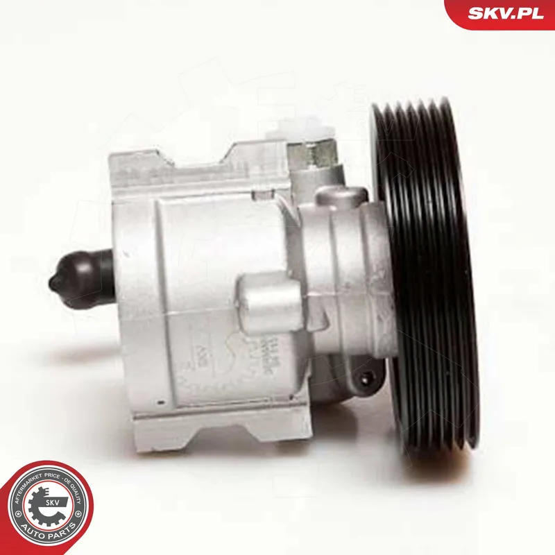 Erikoishinta | Hydrauliikkapumppu, ohjaus ESEN SKV 10SKV025 - Peugeot 306 405, Citroën Xsara ZX
