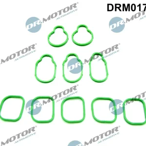 Tiivistesarja, imusarja Dr.Motor Automotive DRM01737S - VW Golf Passat Bora - Erittäin suosittu