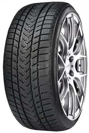 GRIPMAX SUREGRIP PRO WINTER 225/50R19 100V XL - Erikoishinta