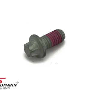 Asiakassuosikki | Torx-pultti M10X20-10.9 ZNS 31103413500 31 10 3 413 500 3413500