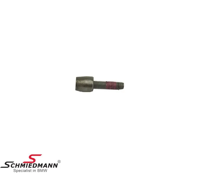 Tehdashinta - Torx-ruuvi M5X19 07143450893 07 14 3 450 893 3450893