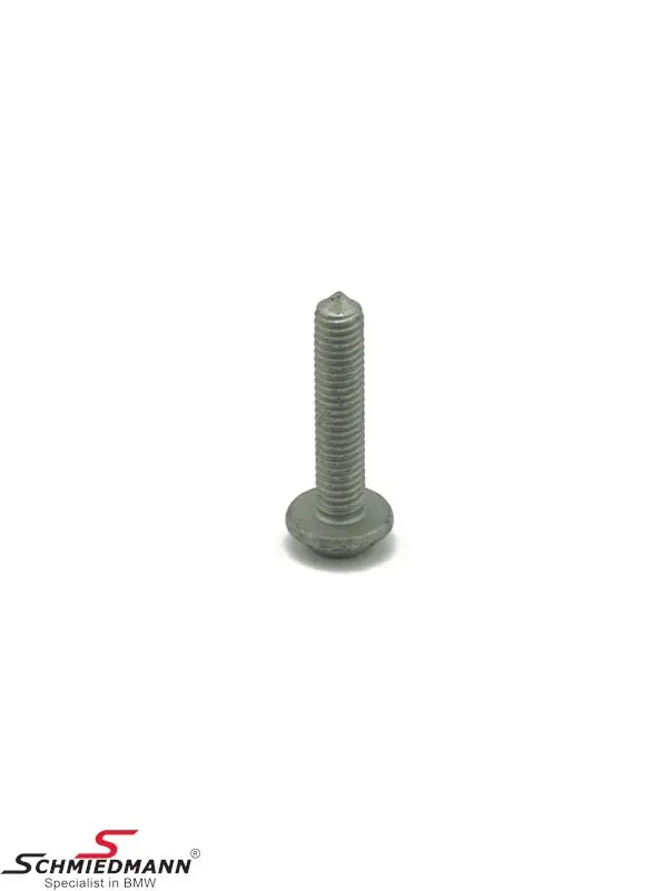 Screw M6X30 radiator support 17117596108 17 11 7 596 108 7596108 - Suoraan valmistajalta