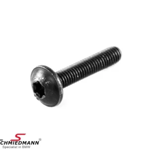 Asiakkaiden suosikki - OVAL-HEAD SCREW, SELF-LOCKING M5X25 ZNFE SW 07147118984 07 14 7 118 984 7118984