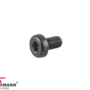 TORX SCREW ISA M10X18 11119148303 11 11 9 148 303 9148303 | Myydyin