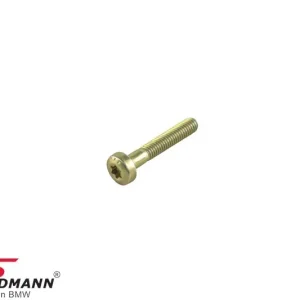 TORX SCREW M6X35 11141433439 11 14 1 433 439 1433439 - Premium