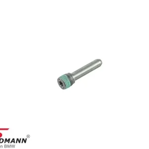 BEARING BOLT 11317806351 11 31 7 806 351 7806351 | Extra-alennus